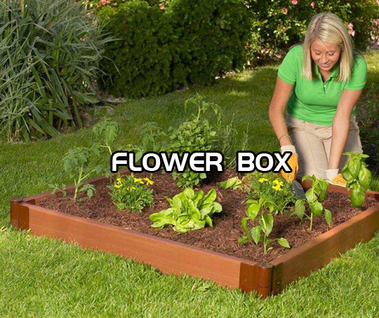 Flower box